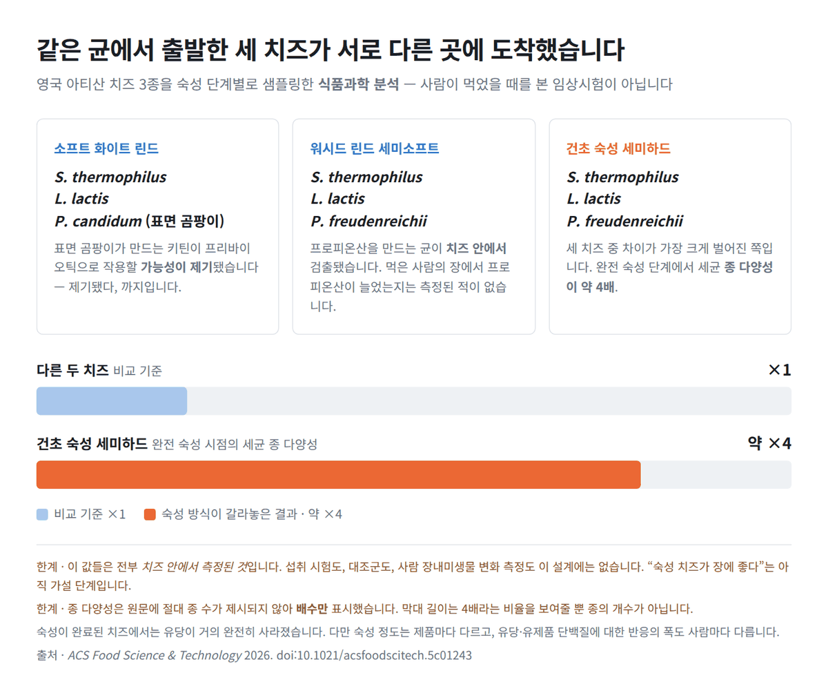 숙성 치즈의 미생물 지도 — 치즈 3종을 단계별로 분석한 연구