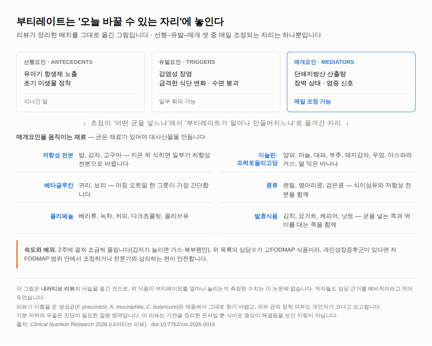 장건강과 부티레이트 늘리는 음식 — 균주가 아니라 대사산물로 보는 장뇌축