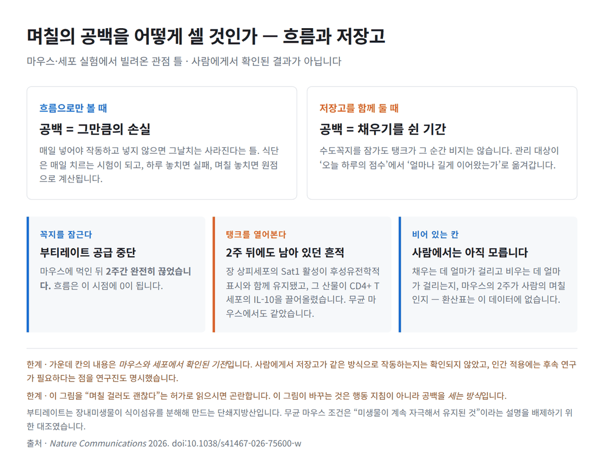 며칠 거른 채소, 처음부터 다시일까 — 장을 흐름이 아닌 저장고로 보면