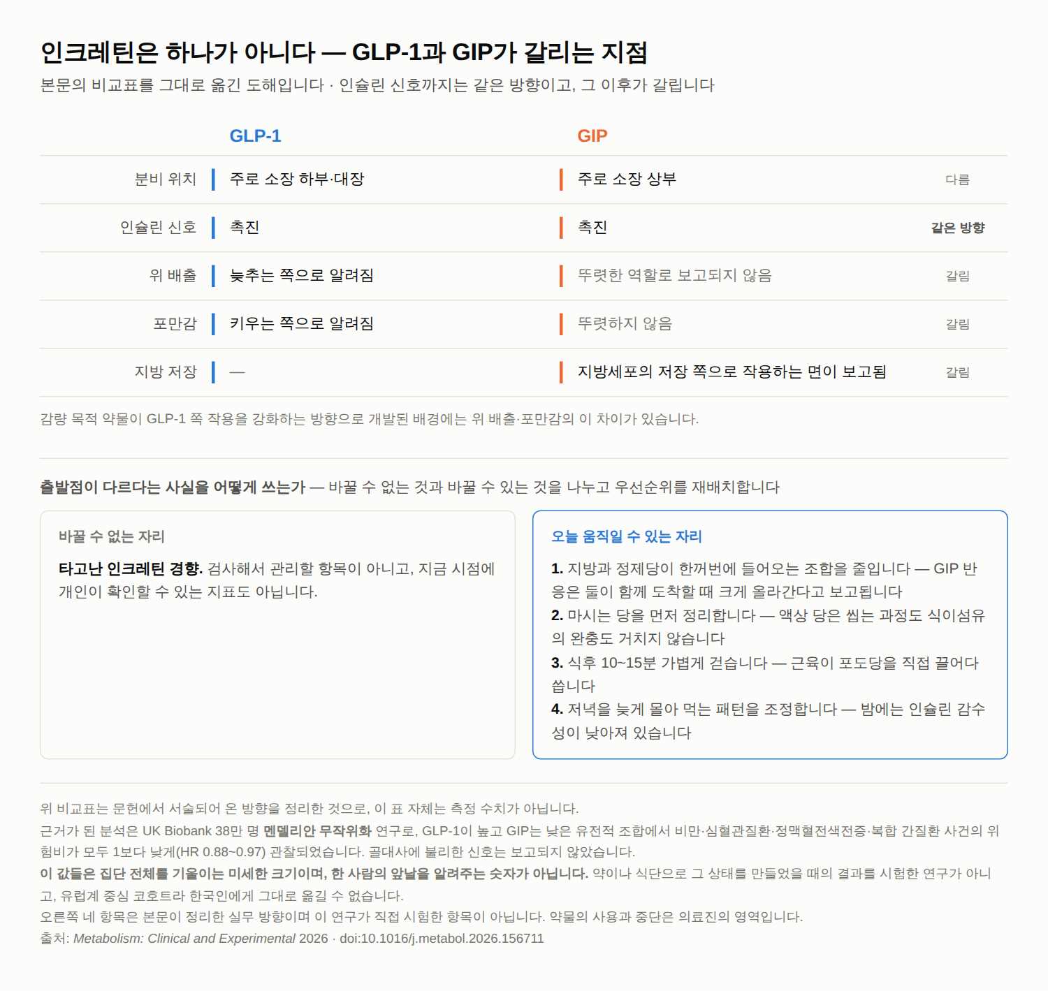 인크레틴 반응은 왜 사람마다 다를까 — GLP-1과 GIP, 타고난 출발점의 차이