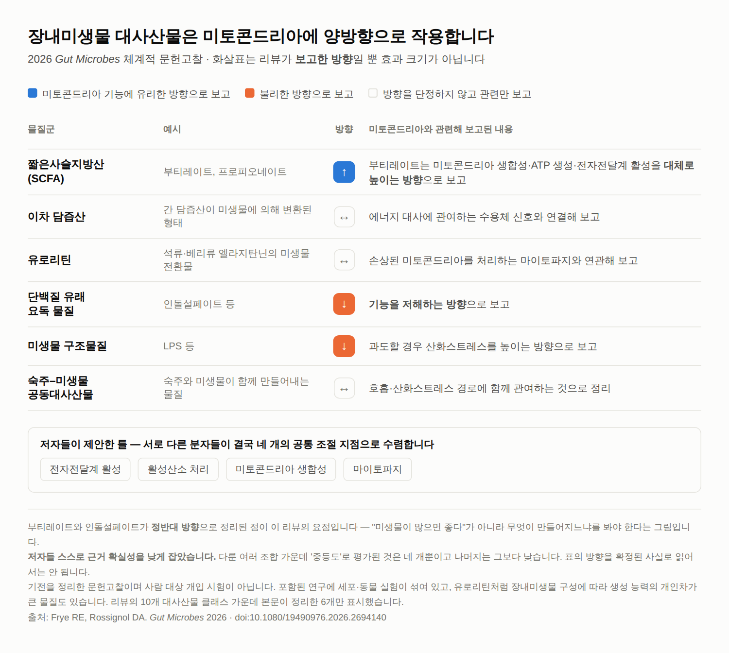 장내미생물 대사산물과 미토콘드리아 — 2026 Gut Microbes 체계적 문헌고찰