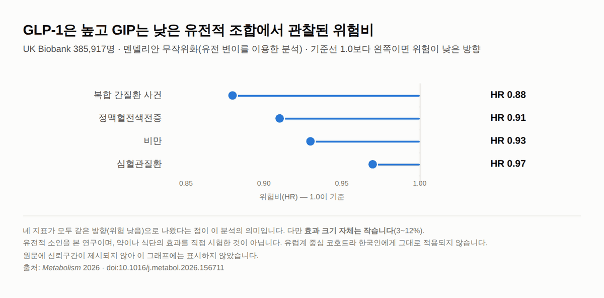 GLP-1은 높고 GIP는 낮을 때 — 인크레틴 두 호르몬을 갈라 본 UK Biobank 38만 명 유전 분석
