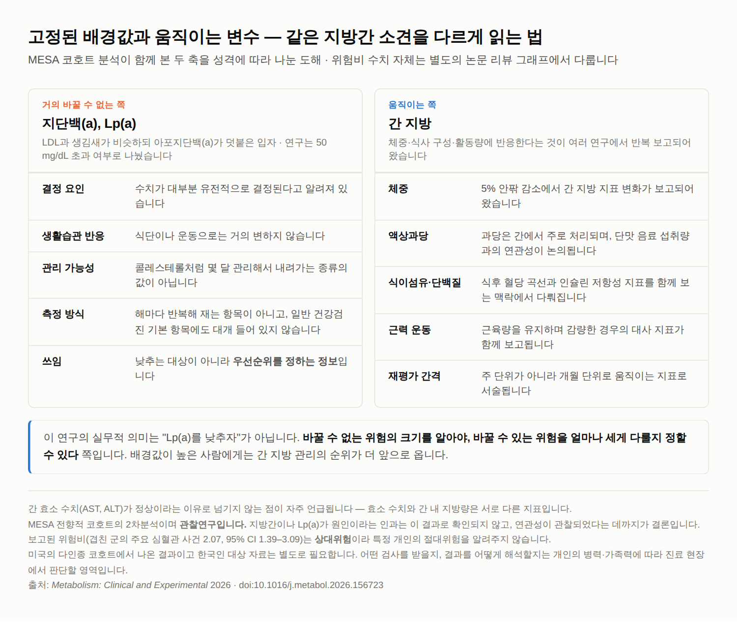 지방간 위험, 왜 사람마다 무게가 다를까 — 유전으로 정해지는 수치 Lp(a)와 바꿀 수 있는 변수