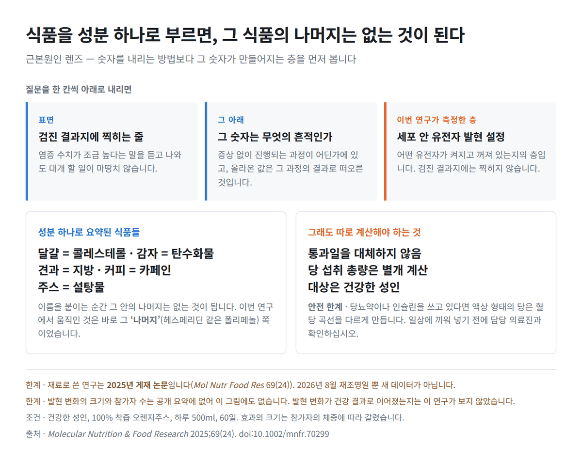 식품을 성분 하나로 부르는 습관 — 근본원인 렌즈로 주스 다시 보기