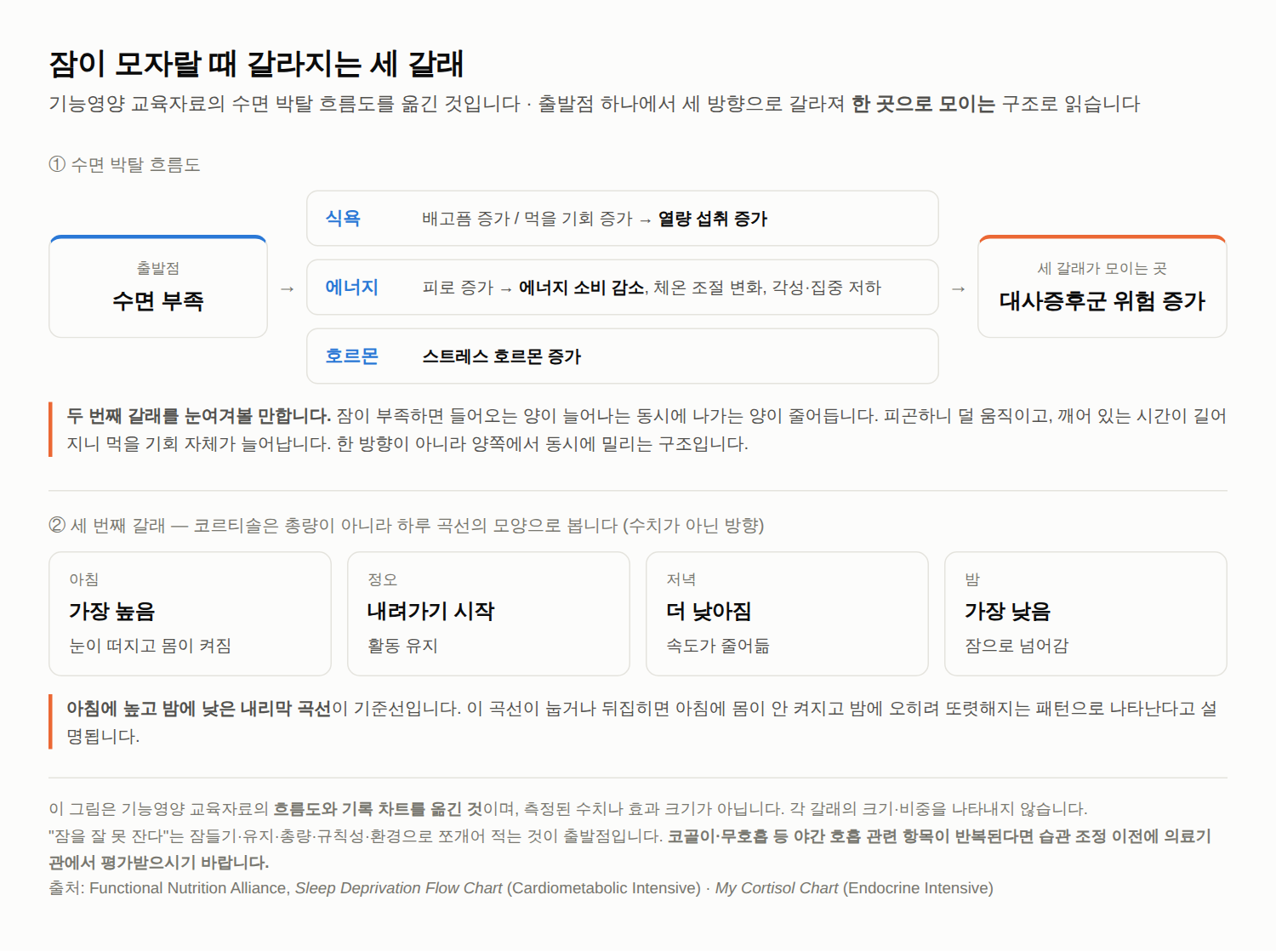수면 부족 증상, 몸에서는 무슨 일이 일어나고 있나 — 코르티솔 리듬과 식욕