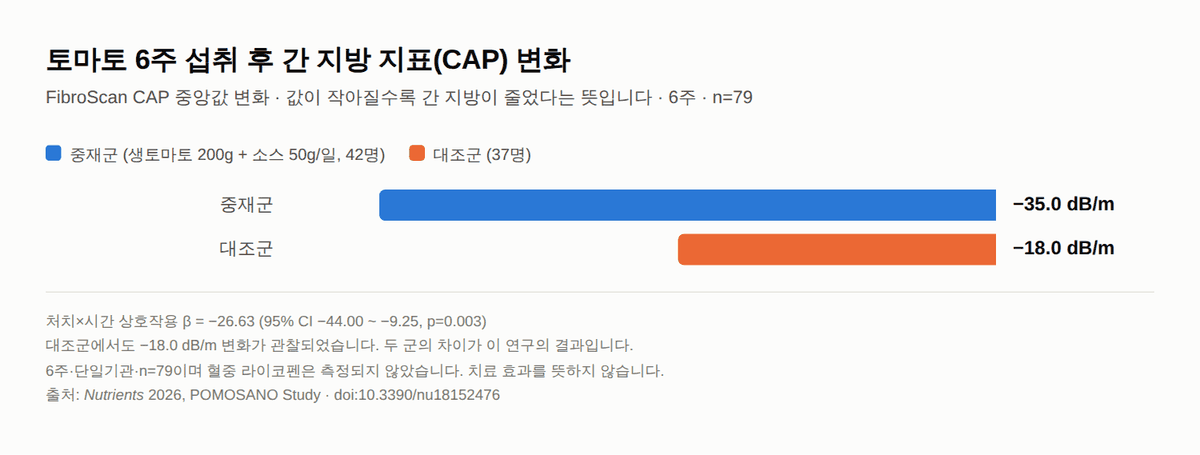 지방간에 좋은 음식으로 꼽히는 토마토 — 6주 RCT가 보고한 간 지방 수치(POMOSANO)