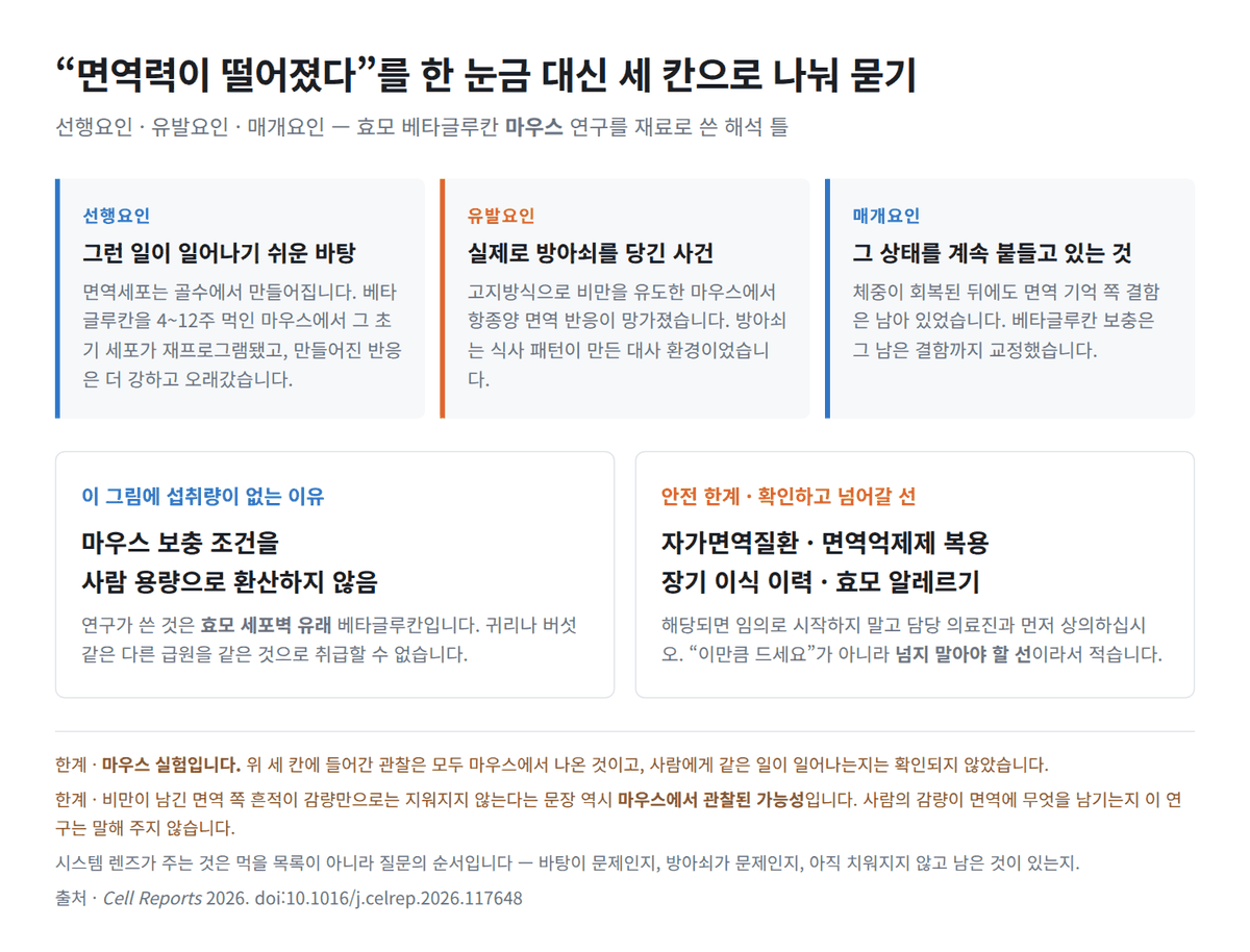 훈련 면역 — 면역을 결과가 아니라 ‘생산 라인’으로 보는 연습