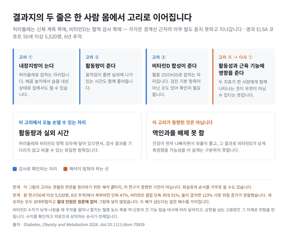 검진 결과지의 두 줄을 한 화면에 놓으면 보이는 것